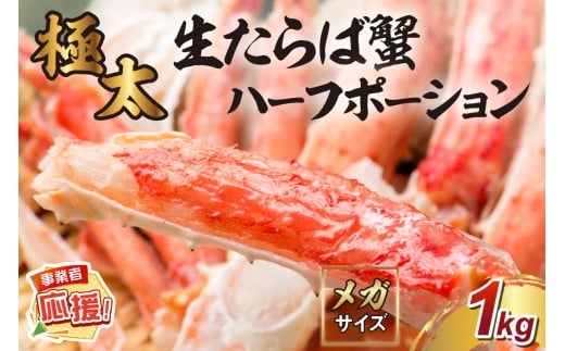 y{szyɑ1kgKTCYzΊI n[t|[Vyӂ邳Ɣ[3.0zy087C-059z