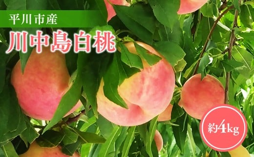 yXszy2026NY s\zsY쒆 Ss(12-16)y_z[hi-0064-002]