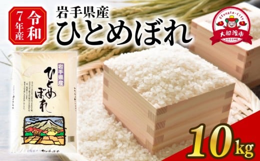 y茧DnszN ߘa7Nx V ЂƂ߂ڂ  10kg 1