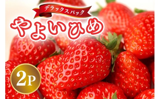 y錧Ήszy2026Ns\zfbNXpbN 悢Ђ 2p  C`S  ʕ t[c  錧 Ήs A32-022