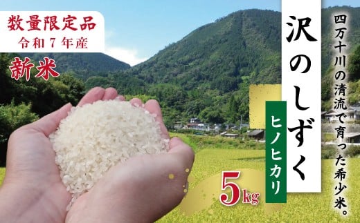 yml\szy5kgzߘa7NY  qmqJ   ̂ 5kg×1 2025N l\sY Y Ђ̂Ђ   R  ͂  ӂ  m m