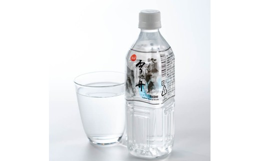 【大分県】ナチュラル ミネラル ウォーター 雪舟 500ml (計288本) 定期 国産 鉱泉水 水 お水 ミネラル ドリンク 飲料 ペットボトル 防災 備蓄 アウトドア 常温 【opbz010】【さいき本舗 城下堂】