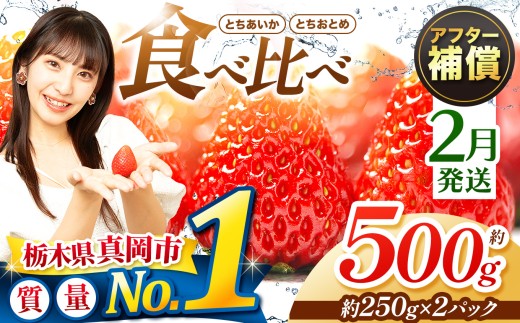 yȖ،^szy2z ƂƂ߁EƂ 500g Hה Zbg |  C`S  Â lC {̂܂ Ȗ، ^s _ѐYb܍ő Xgx[