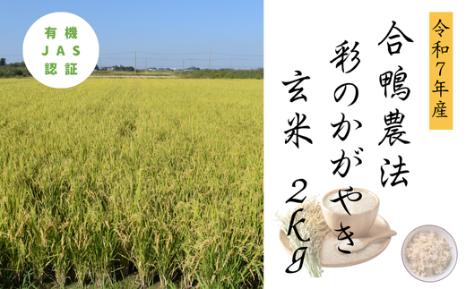 【埼玉県加須市】合鴨農法 彩のかがやき玄米2kg