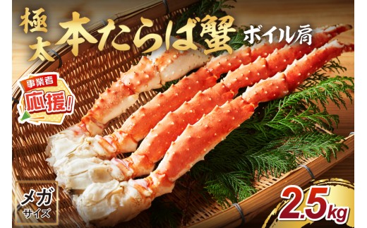 y{szy12.5kg̒ɑ10LȏチKTCYz{ΊI {C 2.5kgyӂ邳Ɣ[3.0zy087B-040z