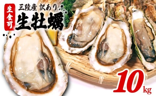 【岩手県大船渡市】訳あり 牡蠣 10kg かき カキ kaki 牡蠣 冷凍 岩手県産 殻付き牡蠣 生食 訳あり わけあり 大きさ不揃い 不揃い 三陸 三陸産 株式会社國洋 岩手県 大船渡市