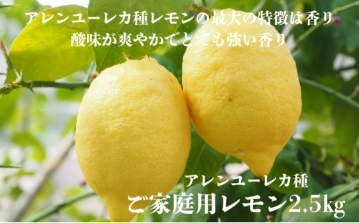 yQszA[J탌kg@ƒp TCYC { _  lC ʌ s\ k  Q݂ 񂫂 Y Q Yn t[c ʕ 