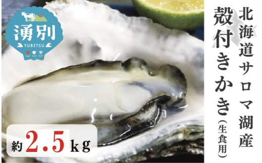 ykCNʒzm5930-0533ns\2025N11{甭kCT}ΎY@ktiHpj2.5kg