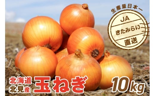 【北海道北見市】【2026年2月中お届け】JAきたみらい産 玉ねぎ Lサイズ 10kg ( タマネギ たまねぎ 野菜 )【210-0003】
