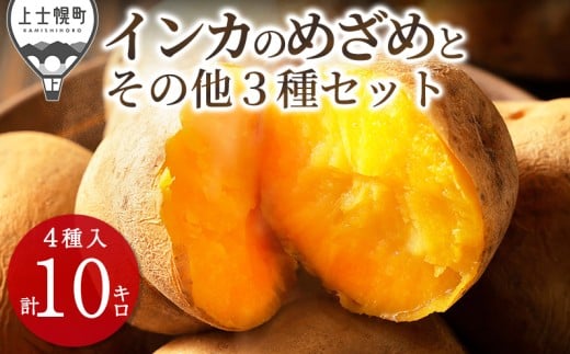 ykCmyzkCY CĴ߂ ̑3̂ႪZbg 10kg kC my _  CJ̖ڊo WKC n鏒 lߍ킹 Yn m012-V60n