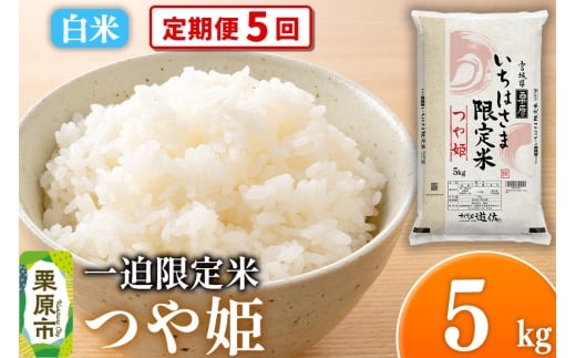 y{錧Iszy5zyāzߘa7NY ꔗ P 5kg