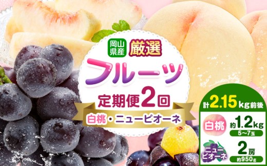 yRszRY I t[c  2  j[sI[l v2.15kgO Зs2026N7{-9oׁt R s RY   j[sI[l 햳 { t