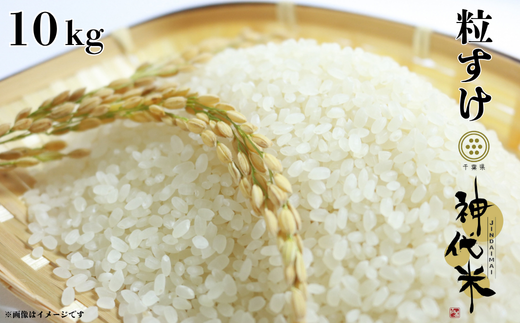 【千葉県東庄町】神代米(粒すけ) 精白米 10kg / 米 こめ コメ ごはん ご飯 神代米 粒すけ 令和7年産 新米 精米 10kg 送料無料