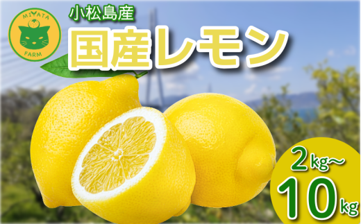 ysz 2kg`10kg Gi 2025N10 Y  EG  bNXsgp hܕsgp k ʏ` t[c ʎ  s