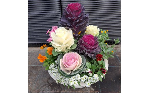 yɌSzn{^̊񂹐A | Ɍ S n{^ ԕc  K[fjO 