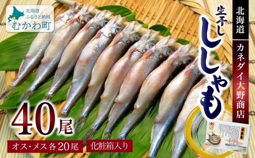 ykCނ풬zkCYZbgiXEIXe20j y ӂ邳Ɣ[ lC  LO   VV   n ނ  kC ނ풬 