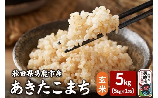 yHcjszߘa7NY ܂  5kg g^X Hc js  ٓ ɂ