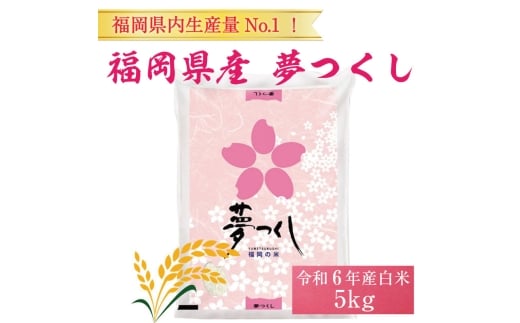 yYczY  5kg zws 30cƓȓɔ [a0821] HiHƊ yԗizYc ӂ邳Ɣ[