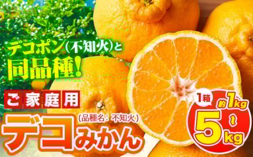 yF{ÓޖؒzfR| ( sm )ƓiIfR݂ F{Y (ÓޖؒY܂) 󂠂 Iׂe 2kg 5kg 1kg ks2{-4oׁt ݂ t[c sm s\ 󂠂