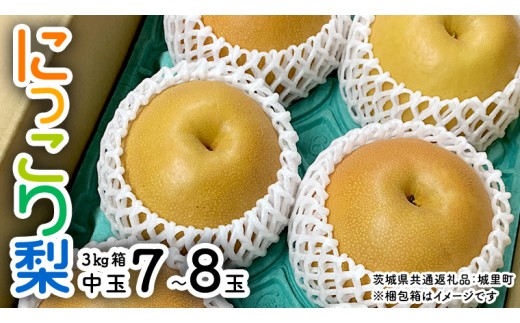 y錧szy s\ z ɂ藜 3kg   7ʁ`8 (錧ʕԗi 闢) 2025N11{甭Jn t[c Â  NX}X    [CO002sa]