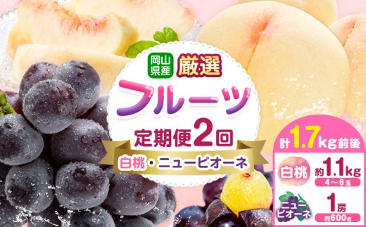 yRszRY I t[c  2  j[sI[l v1.7kgO Зs2026N7{-9oׁt R s RY   j[sI[l 햳 { t