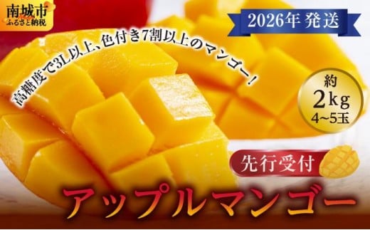 【沖縄県南城市】(先行受付)【2026年発送】アップルマンゴー 南城市 約2kg (4〜5玉)