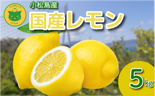 ysz 5kg Gi 2025N10 Y  EG  bNXsgp hܕsgp k ʏ` t[c ʎ  s