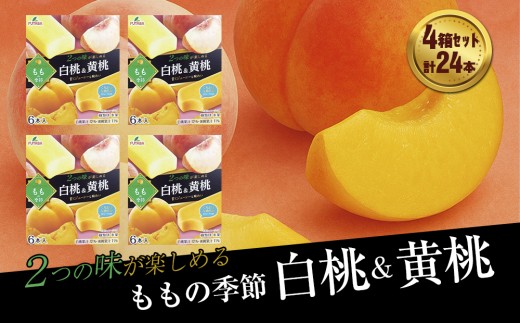 y茧Вzt^oHi@̋G @4Zbg@v24{