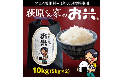 y쌧czƂ̂ā@ā@10kg(5kg×2)y1660819z