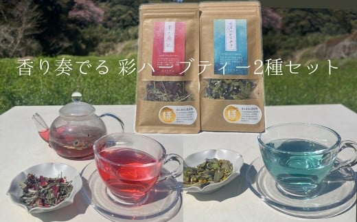 y啪Pnsztł ʃn[ueB[2Zbg@R͔|n[u@bNX@mJtFC