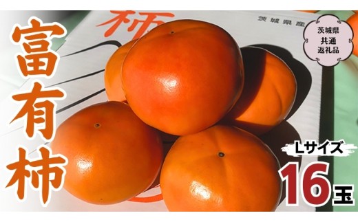 y錧szy s\ 2025N11{ȍ~ zxL` L 16 (錧ʕԗi Ήs)  ʕ  t[c `  [DC001sa]