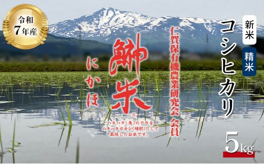 【秋田県にかほ市】令和7年産 新米 11月から発送 特別栽培米 鰰米 コシヒカリ にかほ 精米 5kg
