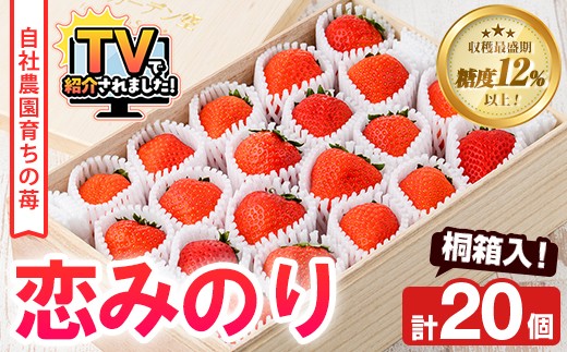 yvszs\tI2026N1ȍ~\聄˔IД_Y ݂̂(v20)  v Д_ ʕ t[c C`S   ݂̂ p