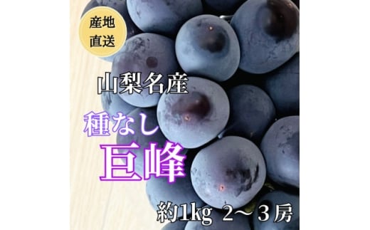 yRRsz2026NYn RY!Ȃ 2`3[(1kg)y1644828z