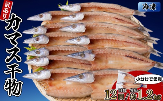 ym|szJ}X̊ 6܁i12j y12񕪁z