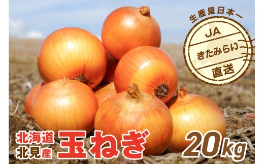 たまねぎ 予約】JAきたみらい産 玉ねぎ Lサイズ 20kg ( タマネギ たまねぎ 野菜