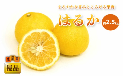 はるか出品 エアコンフィルター コンフォート ホンダ用 EVC-H5 | 車用芳香剤 通販