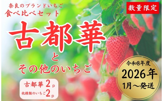 sd1_bc34f9f781b39af3b8252e1e9d