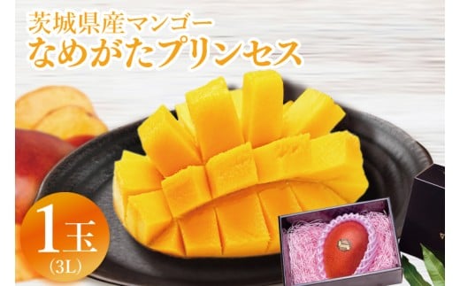 y錧sszy2026N6{菇zʌ聚}S[ Ȃ߂vZX 1(3L)b}S[ t[c ʕ  ʌ s\ 錧 ss(EJ-9)