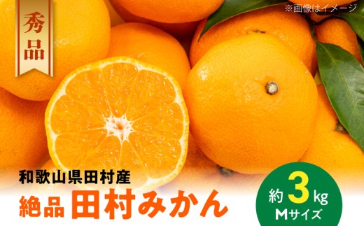 ya̎R󒬁zAB7007n_ya̎RYizyv~AuhziIc݂ Gi MTCY 3kg