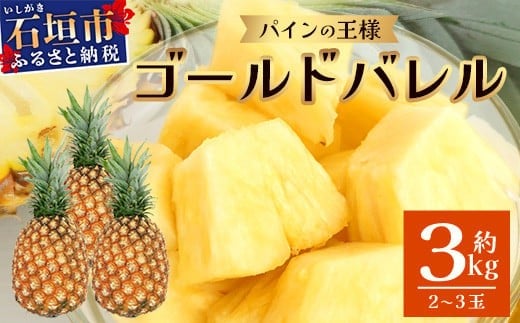 yꌧΊ_szys\zs2026N6{菇\tōpC S[ho2~3ʃZbgy  Ί_ pCibv pC S[h o  Zbg zTD-1-1