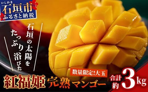 yꌧΊ_szy2026N s\zyʌzugPuhvΊ_̃}S[ 3kg yꌧ Ί_s Yn { Ί_Y }S[ n}S[ A[EB}S[zOT-06