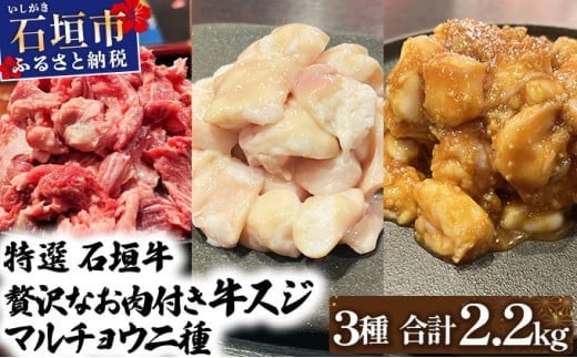 yꌧΊ_szy2025N11ȍ~zIΊ_̋XWƃ}`EA`̖XƒŁIIXW500g×2A}`E300×2AX}`E300×2̑喞̂悭΂Z