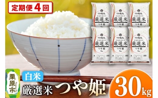 y{錧Iszs4tyāzߘa7NY {錧Is I P 30kgi5kg×6܁j