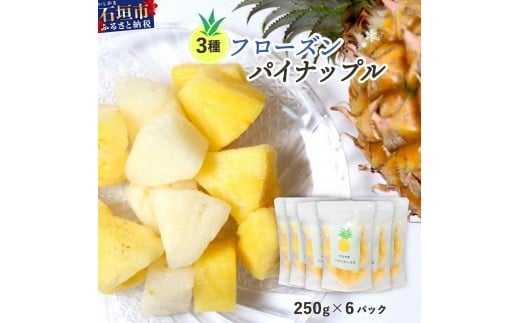 yꌧΊ_szs\2026N6菇ґ3t[YpCibv 6pbNy ꌧ Ί_s ʕ pCibv Ⓚ pC t[Y  z EF-6