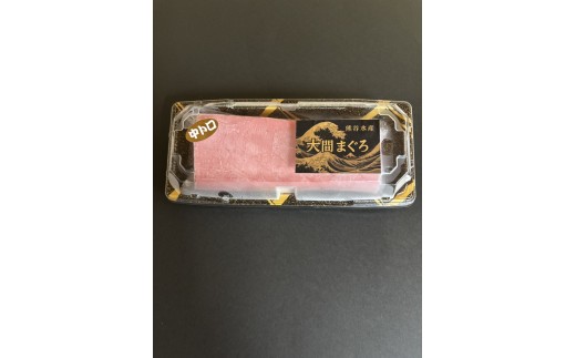 yXԒzԂ܂igPTNjQOO×PiⓀj