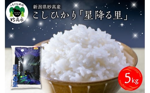 yVszy2026N1{zߘa7NY VYЂu~闢v5kg