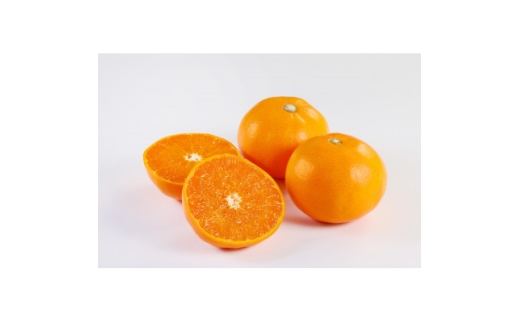 yQlszƂ3kg(Gi)D21-53y1678734z