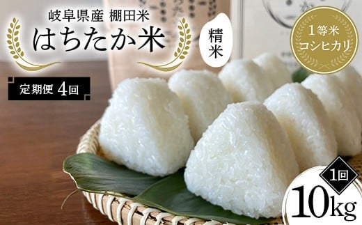 y򕌌Ðszy4ցz򕌌Y Ic 1ăRVqJ ͂ 10kgi5kg×2܁j F4N-2589