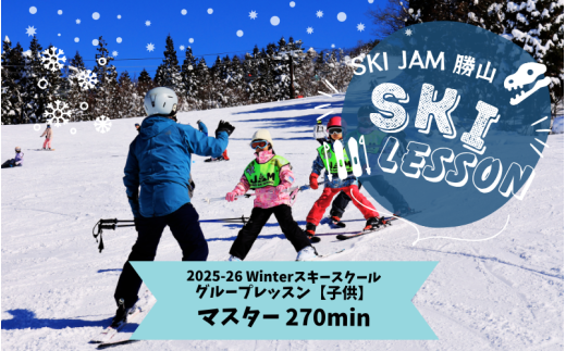 y䌧Rszyqzy}X^[270zXL[ O[vbX ui1lj [F-033002]